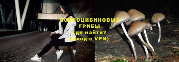 герыч Покровск