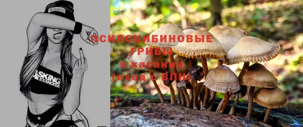 эйфоретик Покров