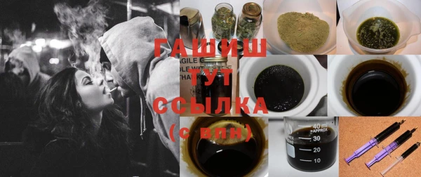 индика Покачи